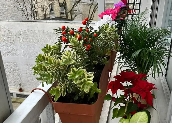 Spacious & Cozy 30 M2 Near Eiffel Tower * Παρίσι